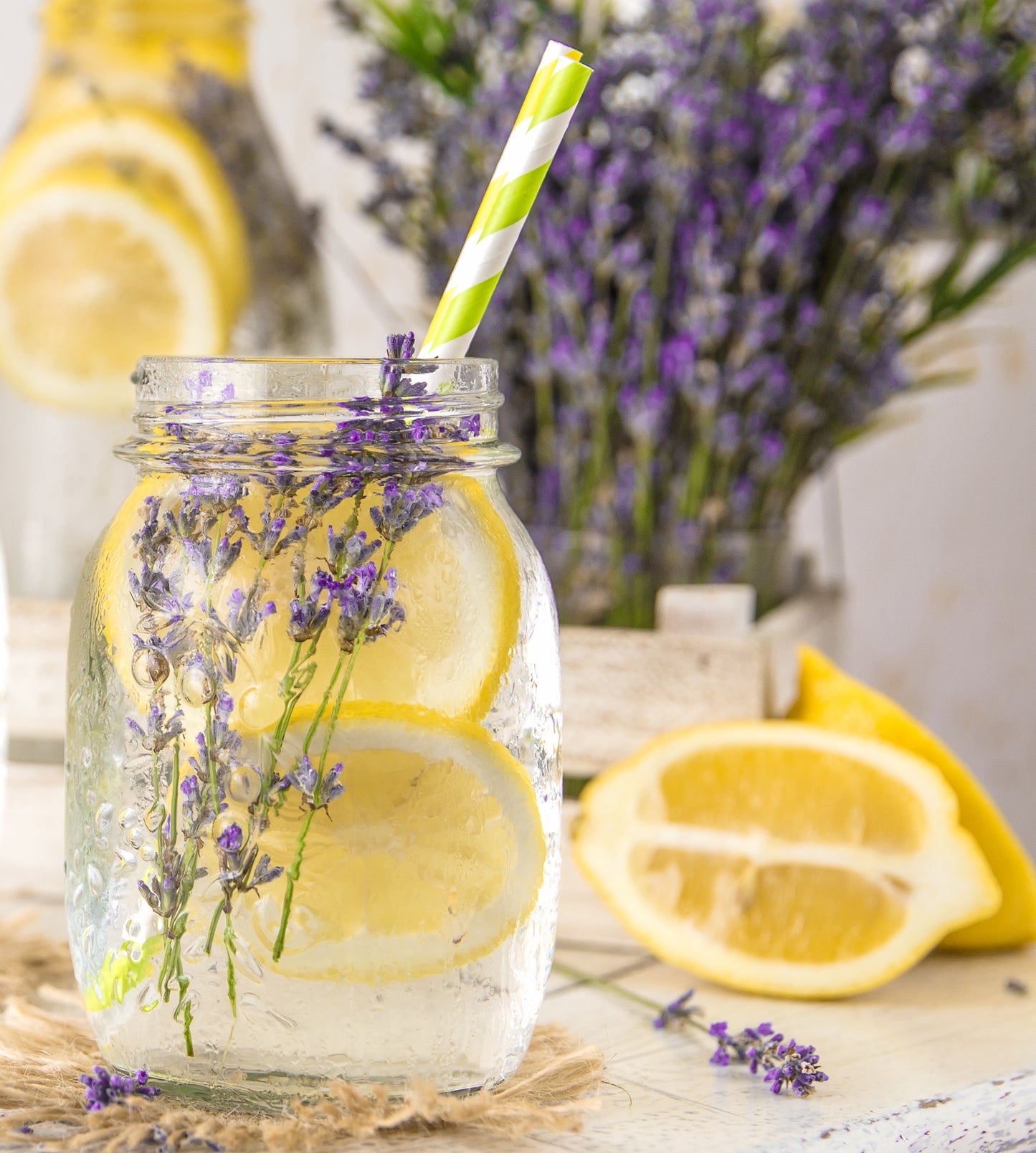 Registration for Tour de Michigan Lavender 2024
