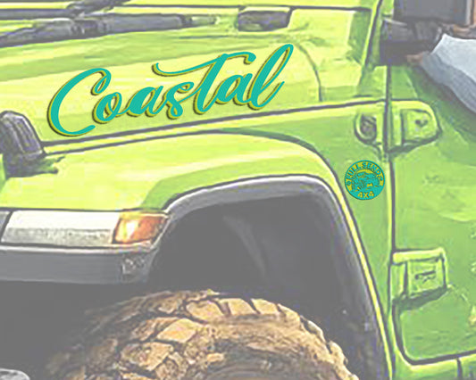 Custom Decals