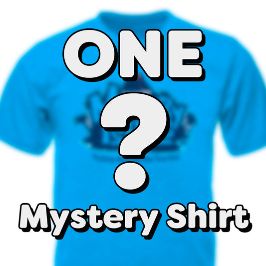1 Mystery Shirt